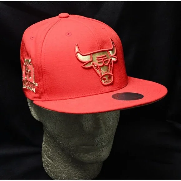 Chicago Bulls Mitchell & Ness Chrome Elements 40th Anniversary Snapback Hat NWT!